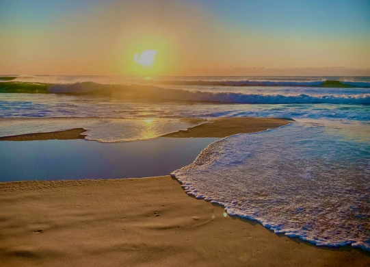 home about section img