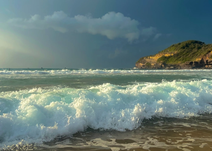 investment-banner-img